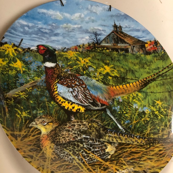 Royal crafton made innEnglamd, fine china. Certificate of authority set of 18 pl - Picture 7 of 16